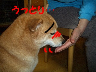 ケイクうみゃ