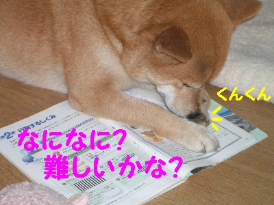 ジャマ2