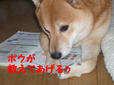 ジャマ3