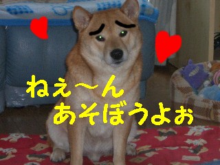 あそぼうよ