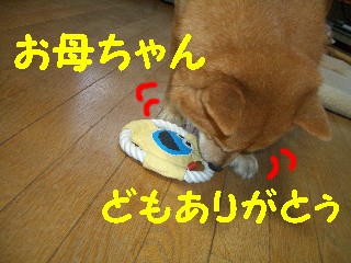 ありがと