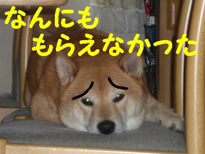 いす2