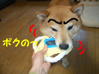 おもちゃで