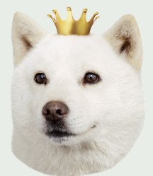 お父さん