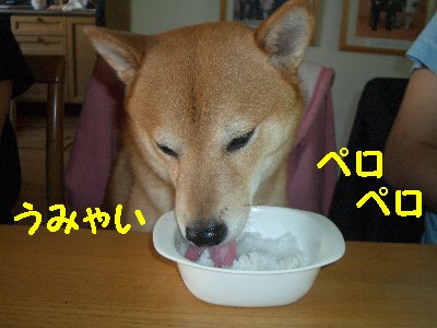 かき氷