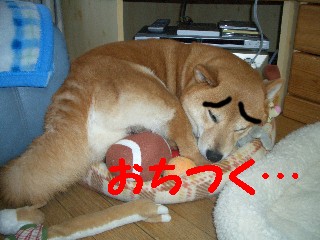 ぎゅむ