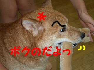 kuwaete