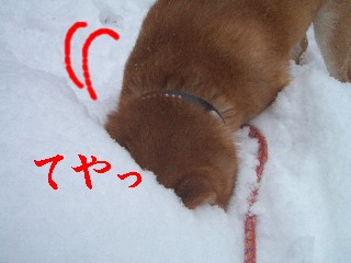 こんくらい