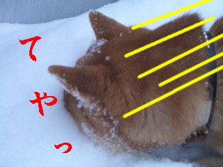 こんくらい2