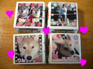 すずチョコ