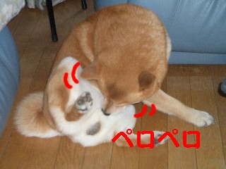 なめて1