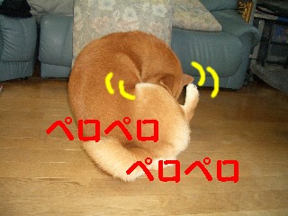 なめて2