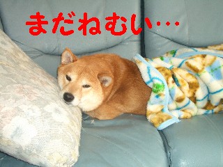 なよ