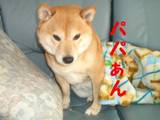 なよ2