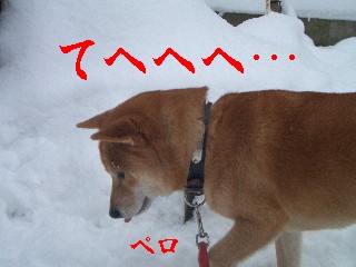 なんちて
