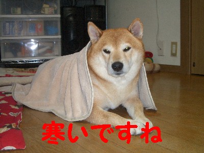 ぬくぬくs.jpg