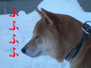 ぬふ