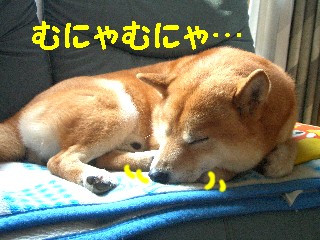 ねむ