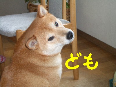ふりかえり