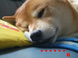 ぶちゃ1