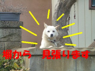 へい
