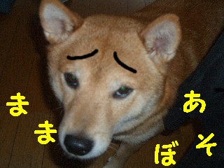 ままあそぼ