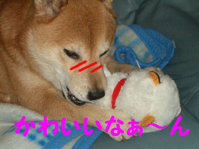 らぶs.jpg