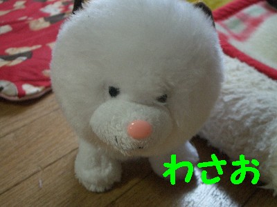 わさお.jpg