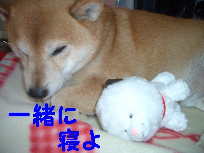 一緒に.jpg