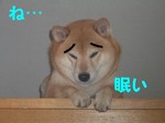 階段眠いs.jpg