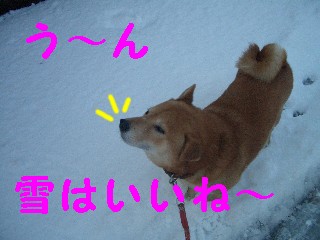 雪散歩