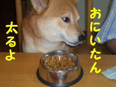 太るよ