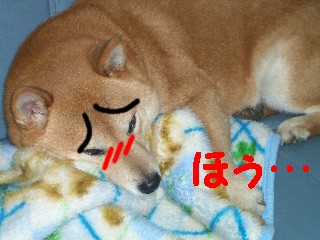 もふ2