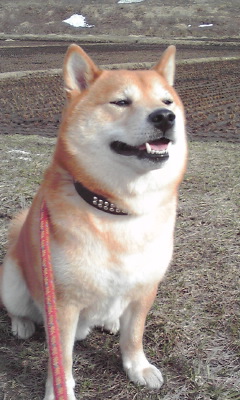 目つむる1