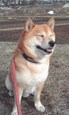 目つむる2